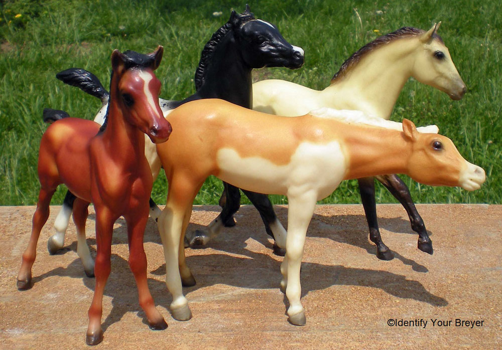 foal set 