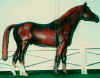 (c) Foxfire Grove Stables