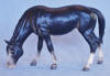 (c) Janice Cox