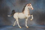 Bay Roan Frame Overo Sabino Pinto Five Gaiter