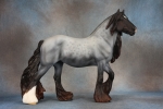 Dapple Blue Roan Vanner Mare and Bay Vanner Foal