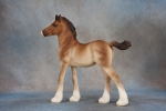 Dapple Blue Roan Vanner Mare and Bay Vanner Foal