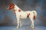 Family Arabian Mare & Family Arabian Foal