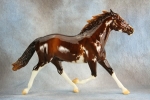 NEW Breyer Horse Espresso Brown World Of Breyer Collectible 2023 for Ages  4+